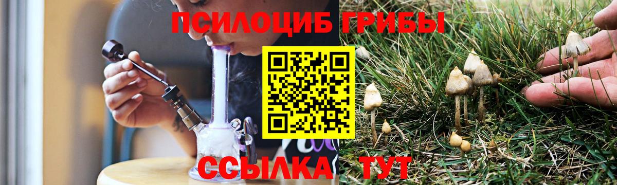 где продают наркотики  Вход с VPN  Щёлково  Галлюциногенные грибы Psilocybine cubensis 